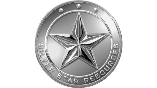 Silver Star Logo